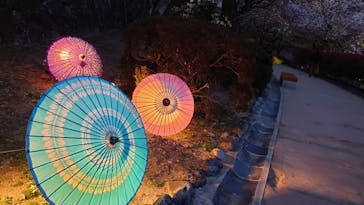 姫路城（イベント）に投稿された画像（2021/4/7）