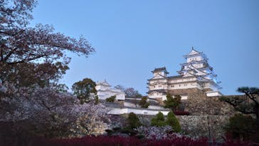 姫路城（イベント）に投稿された画像（2021/4/7）