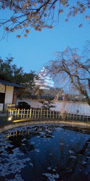 姫路城（イベント）に投稿された画像（2021/4/7）