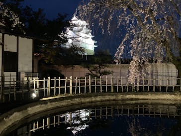 姫路城（イベント）に投稿された画像（2021/4/7）