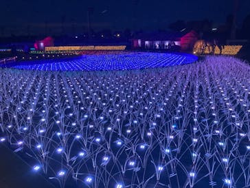 東京メガイルミに投稿された画像（2021/4/7）