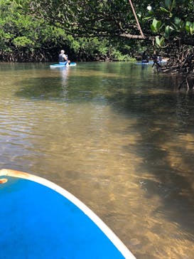 西表島 ADVENTURE PiPi（アドベンチャーピピ）に投稿された画像（2021/4/7）