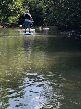 西表島 ADVENTURE PiPi（アドベンチャーピピ）に投稿された画像（2021/4/7）