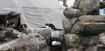 京急油壺マリンパークに投稿された画像（2021/4/7）