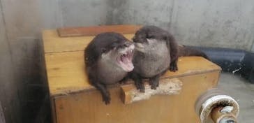 京急油壺マリンパークに投稿された画像（2021/4/7）