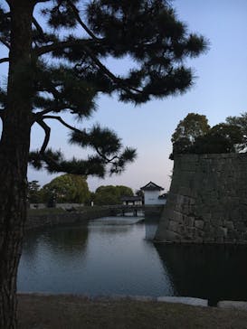 二条城×ネイキッド 二条城夏まつり2021に投稿された画像（2021/4/7）