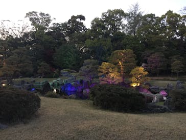 二条城×ネイキッド 二条城夏まつり2021に投稿された画像（2021/4/7）