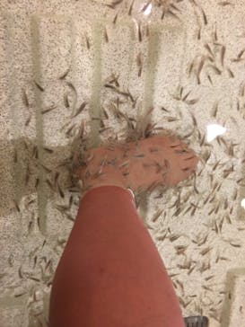 有馬温泉 太閤の湯に投稿された画像（2021/4/7）