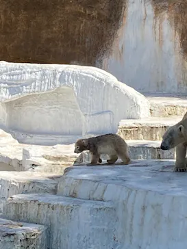 天王寺動物園に投稿された画像（2021/4/7）