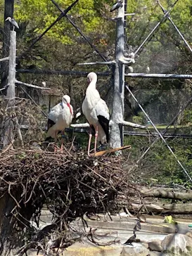 天王寺動物園に投稿された画像（2021/4/7）