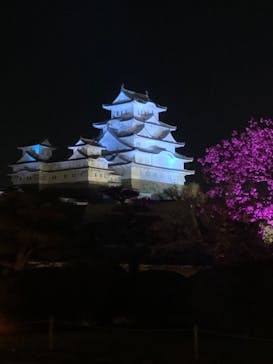 姫路城（イベント）に投稿された画像（2021/4/7）