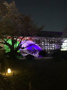 姫路城（イベント）に投稿された画像（2021/4/7）