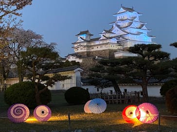 姫路城（イベント）に投稿された画像（2021/4/7）