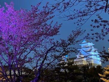 姫路城（イベント）に投稿された画像（2021/4/7）