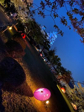 姫路城（イベント）に投稿された画像（2021/4/7）