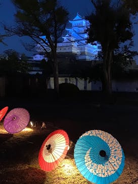 姫路城（イベント）に投稿された画像（2021/4/7）