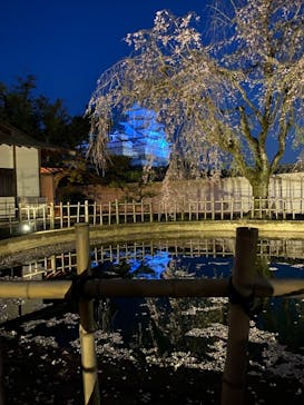 姫路城（イベント）に投稿された画像（2021/4/7）