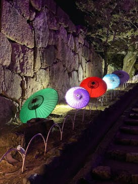 姫路城（イベント）に投稿された画像（2021/4/7）