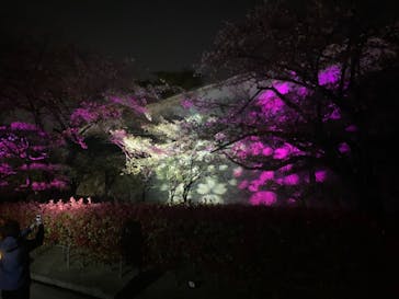 姫路城（イベント）に投稿された画像（2021/4/7）