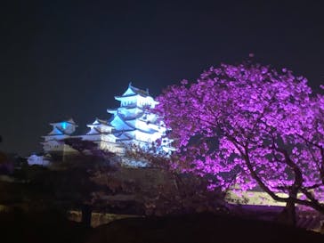 姫路城（イベント）に投稿された画像（2021/4/7）
