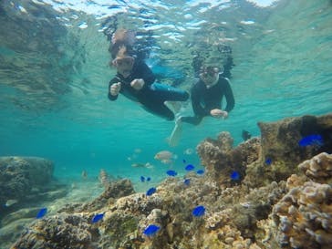 武藤潜水に投稿された画像（2021/4/7）