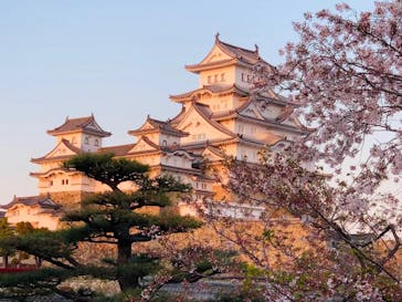 姫路城（イベント）に投稿された画像（2021/4/7）