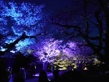 姫路城（イベント）に投稿された画像（2021/4/8）