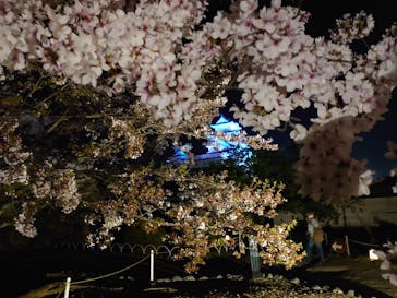 姫路城（イベント）に投稿された画像（2021/4/8）