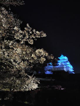 姫路城（イベント）に投稿された画像（2021/4/8）