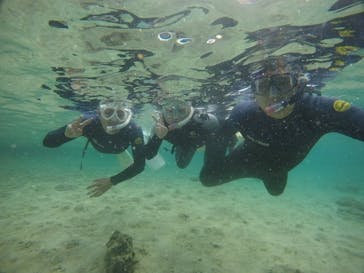 武藤潜水に投稿された画像（2021/4/8）