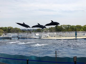 京都水族館に投稿された画像（2021/4/8）