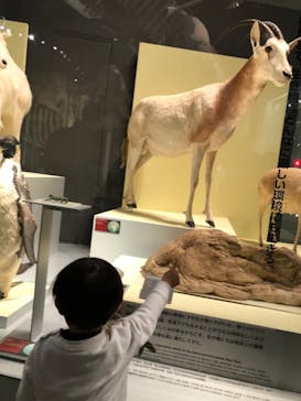 国立科学博物館に投稿された画像（2021/4/8）