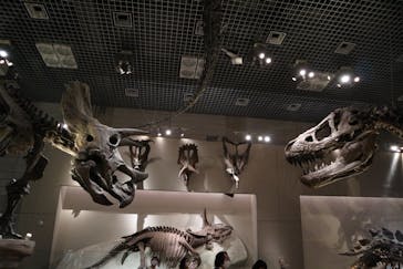 国立科学博物館に投稿された画像（2021/4/8）