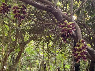 アスムイハイクスに投稿された画像（2021/4/8）