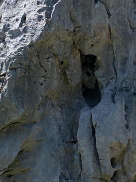 アスムイハイクスに投稿された画像（2021/4/8）