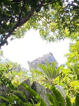 アスムイハイクスに投稿された画像（2021/4/8）