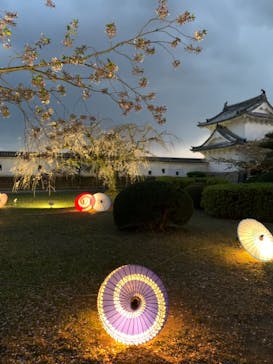 姫路城（イベント）に投稿された画像（2021/4/8）