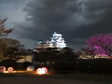 姫路城（イベント）に投稿された画像（2021/4/8）