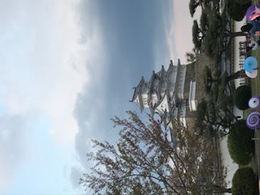 姫路城（イベント）に投稿された画像（2021/4/8）