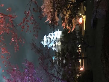 姫路城（イベント）に投稿された画像（2021/4/8）