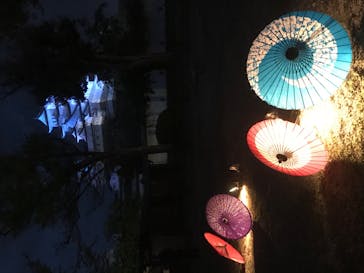 姫路城（イベント）に投稿された画像（2021/4/8）