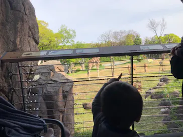 天王寺動物園に投稿された画像（2021/4/8）