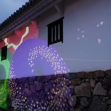 姫路城（イベント）に投稿された画像（2021/4/8）