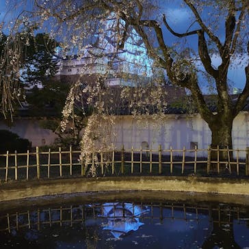 姫路城（イベント）に投稿された画像（2021/4/8）