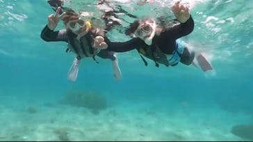 DIVING-SHOP SUNSに投稿された画像（2021/4/8）