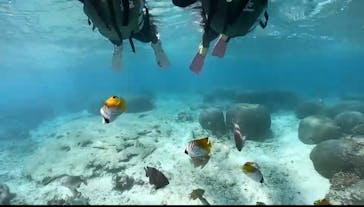 DIVING-SHOP SUNSに投稿された画像（2021/4/8）