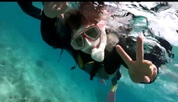 DIVING-SHOP SUNSに投稿された画像（2021/4/8）