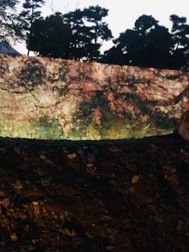 二条城×ネイキッド 二条城夏まつり2021に投稿された画像（2021/4/8）