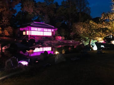 二条城×ネイキッド 二条城夏まつり2021に投稿された画像（2021/4/8）