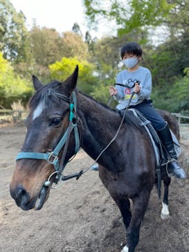 グリーングラス乗馬クラブに投稿された画像（2021/4/8）